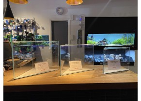 Aquariums Nexus triangulaires