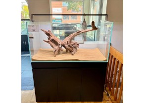 AQUARIUM SANS REBORD UNS 120U 