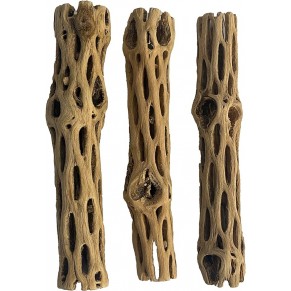 Cholla wood