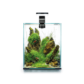 Aquael aquarium kit 30 L