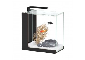 Aquarium Aquatlantis Aqua Lounge 32L black