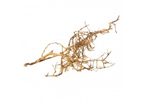 Bird nest wood