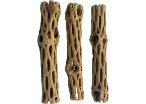Cholla wood