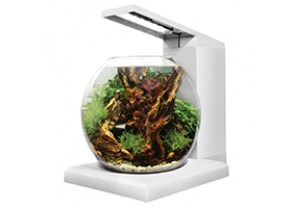 Fluval LIV Microscaping Aquarium Kit - White