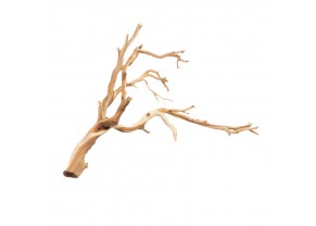 Ghostwood