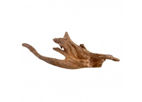 Kapas Wood