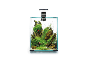 Aquael aquarium kit 30 L