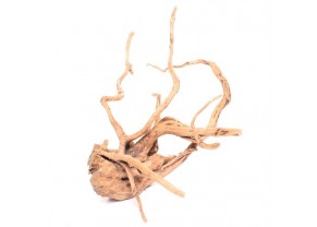 Spider Wood 