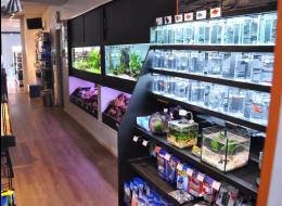 Section Bettas