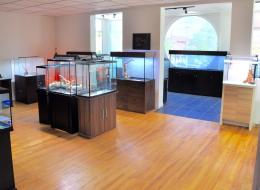 showroom