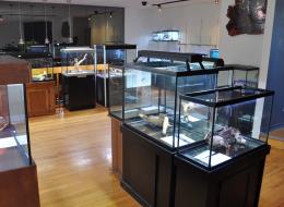 show room