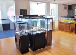 showroom3