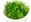 Plantes Tropica 1-2-GROW