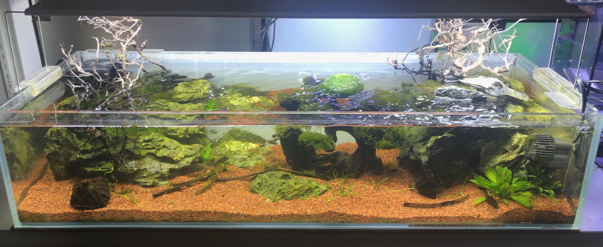 Aquarium étagère 90 x 30 x 25 cm Aquarium étagère 90 x 30 x 25 cm