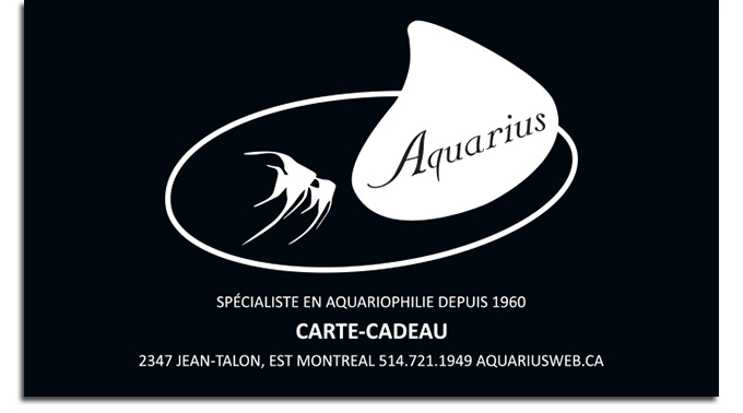 Carte-cadeau